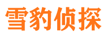 杜集市调查公司